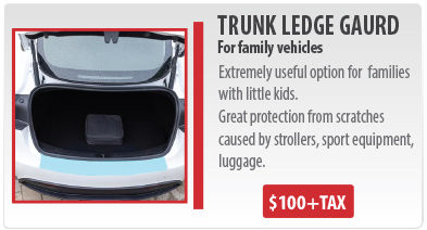 Trunk ledge guard